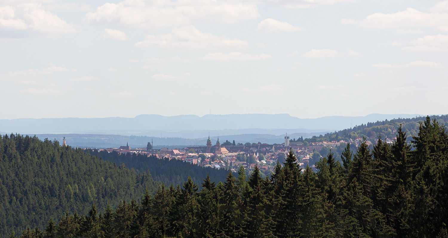 Blick auf die Stadt-Silhouette von Freudenstadt. Im Hintergrund die Schw&auml;bische Alb.